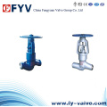 ANSI Pressure Seal Globe Valve